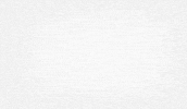Typography Calligraphy GIF