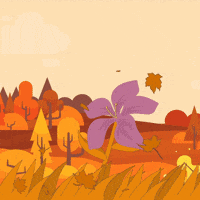 Flower Colors GIF