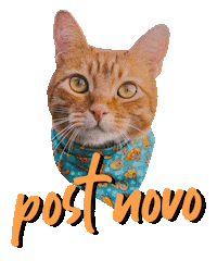romeuemalelo cat cats gato gatos Sticker