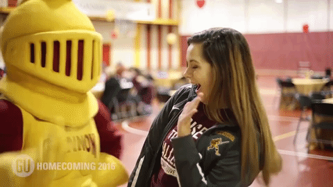 high five college GIF by Gannon University