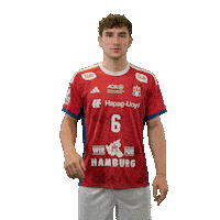 Handball Hamburg Sticker by DAIKIN HBL