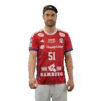 Handball Hamburg Sticker by DAIKIN HBL