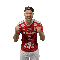 Handball Hamburg Sticker by DAIKIN HBL