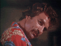 Stealing Magnum Pi GIF