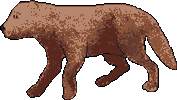 PositPixel dog pixel art sprite sprites Sticker