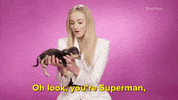 Game Of Thrones Dog GIF by BuzzFeed