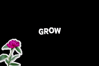 amyboylephoto pink flowers grow peony GIF