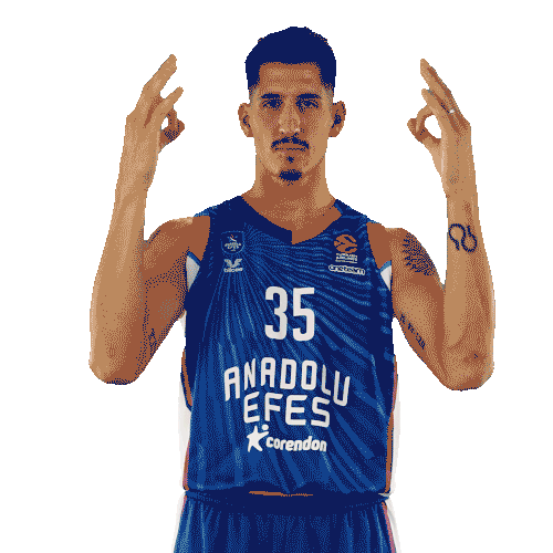 Sport Basketball Sticker by Anadolu Efes SK