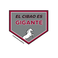 Baseball Republicadominicana Sticker by Television Dominicana