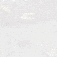 Jayden GIF