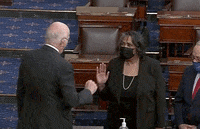 Sonceria Ann Berry GIF by GIPHY News