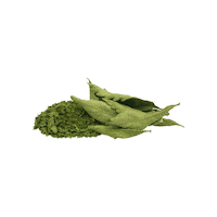 Bio Stevia Sticker by TeeFee
