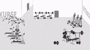 koerperformen  GIF