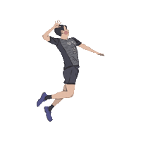 chengchengzz 排球 台電 台電男排 Sticker