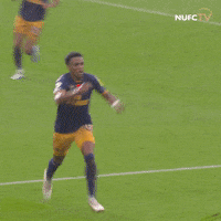 Newcastle United Willock GIF by Newcastle United Football Club