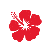 Snapdragon Sticker by Qualcomm