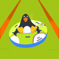 Fun Penguin GIF by Grupa Pingwina