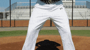 vwu_marlins marlins vwu wethebeach virginiawesleyan GIF