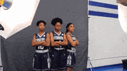 vwu_marlins marlins vwu virginiawesleyan wetherbeach GIF