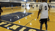 vwu_marlins marlins vwu wethebeach virginiawesleyan GIF