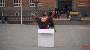 Dao Eldiablo GIF by STEP THE COCO