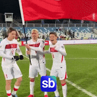 Gol GIF by Sporbulteni