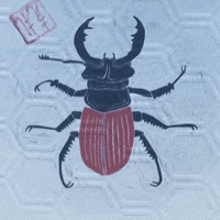 Art Bug GIF by NACHTSCHIMMEN Music-Theatre-Language NIGHTSHADES