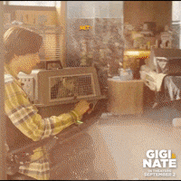 GigiAndNateMovie monkey welcome home capuchin settle in GIF