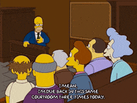 homer simpson trial GIF