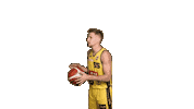 Celebration Basketball Sticker by Trefl Sopot
