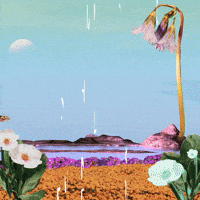 GIF by Shambhala Music Festival