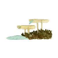 Illustration Water Sticker