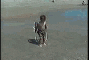 Video gif. Camcorder footage of a little boy with his tiny folding chair on the beach, scooting forward closer and closer into the surf, until he is wiped out by a huge wave.