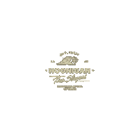 Tire Slayer Drifting Sticker by Hoonigan