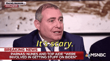 msnbc rachel maddow devin nunes lev parnas its scary GIF