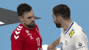 France Sport GIF by EHF
