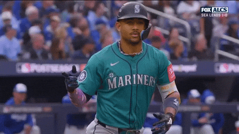 Home Run Baseball GIF by MLB