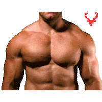 Energy Flexing Sticker by Bucked Up