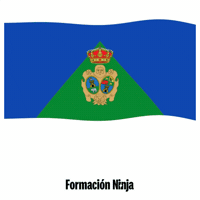 Castilla Y Leon Bandera GIF by Formación Ninja