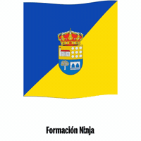 Castilla Y Leon Bandera GIF by Formación Ninja