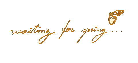 cristinafrei giphyupload happy yellow drawing Sticker