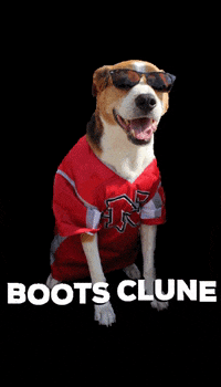 NichollsState nicholls geauxcolonels nichollsstate colonelpride GIF