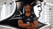 Pride Volleyball GIF by Providence Friars