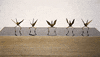 GIF by Digg