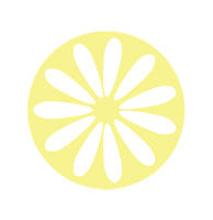 Flower Lemon Sticker by Fishers Island Lemonade