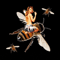 anamariarojasl girl nature bee wings GIF