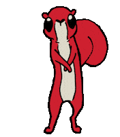 Squirrel Sticker by Bradley University