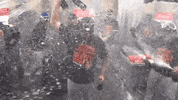 Ny Mets Sport GIF by New York Mets