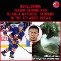 New York Islanders News GIF