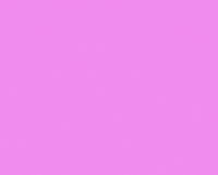kael silva GIF by VidCon